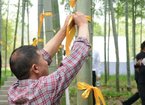 龙山县殡葬事业单位等最新招聘信息,龙山县殡葬事业单位最新招聘信息及职业展望