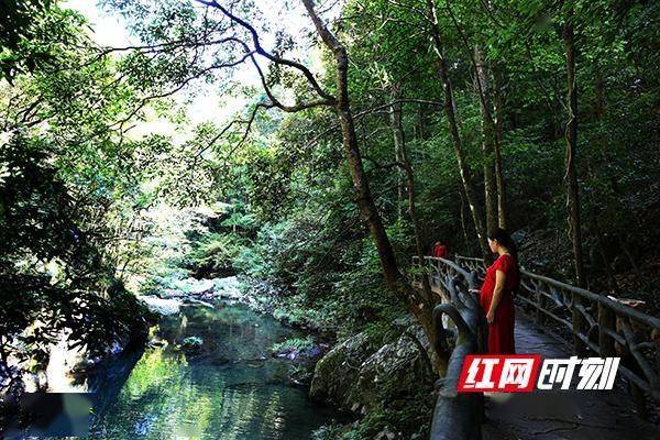 峻岭林场最新天气预报,峻岭林场最新天气预报