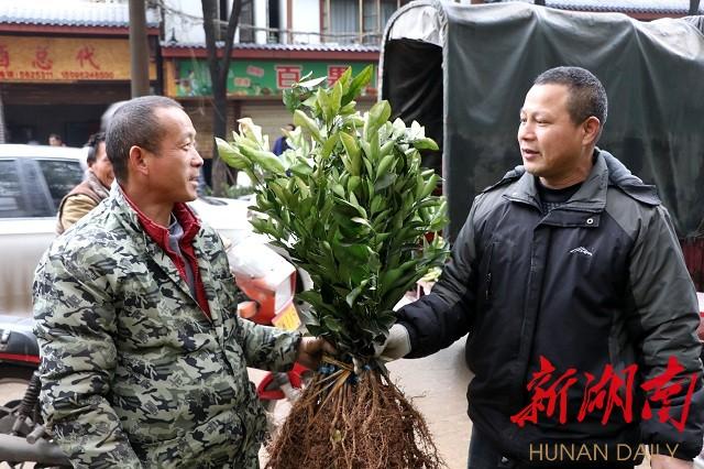 麻阳苗族自治县市场监督管理局最新招聘信息,麻阳苗族自治县市场监督管理局最新招聘信息概览