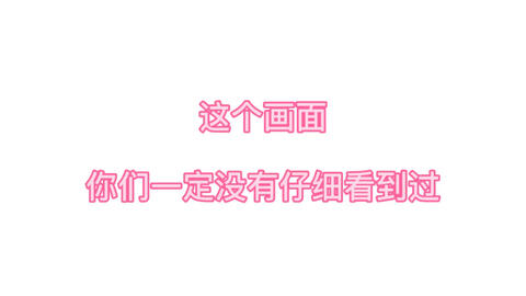 四不像今晚必中一肖|标准释义解释落实,四不像今晚必中一肖，标准释义、解释与落实