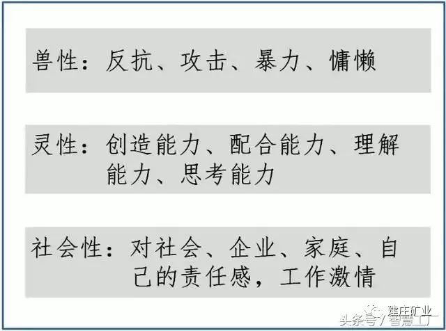 三肖三期必出特马|确诊释义解释落实,三肖三期必出特马与确诊释义解释落实，揭示背后的违法犯罪问题