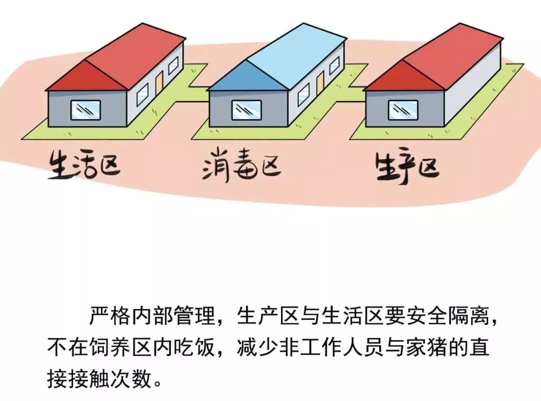 今期四不像图今晚|政企释义解释落实,今期四不像图与政企释义解释落实的深度解读