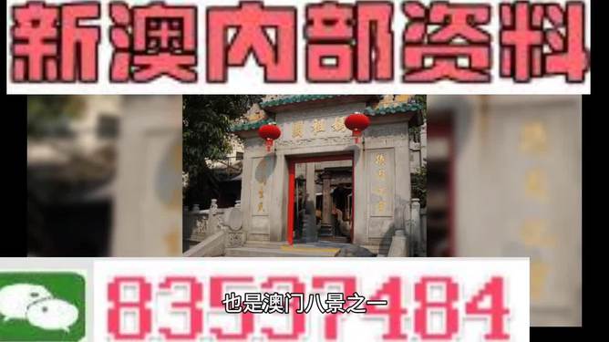 204年澳门免费精准资料|励精释义解释落实,澳门免费精准资料的深度解析与落实励精释义