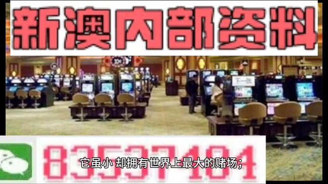 2024澳门正版免费精准资料|力推释义解释落实,探索澳门正版资料的世界，精准、力推与释义解释落实的重要性