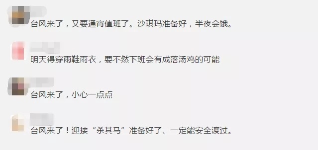 今晚澳门特马开什么今晚四不像|裁定释义解释落实,澳门特马今晚揭秘，四不像的裁定释义与落实探索