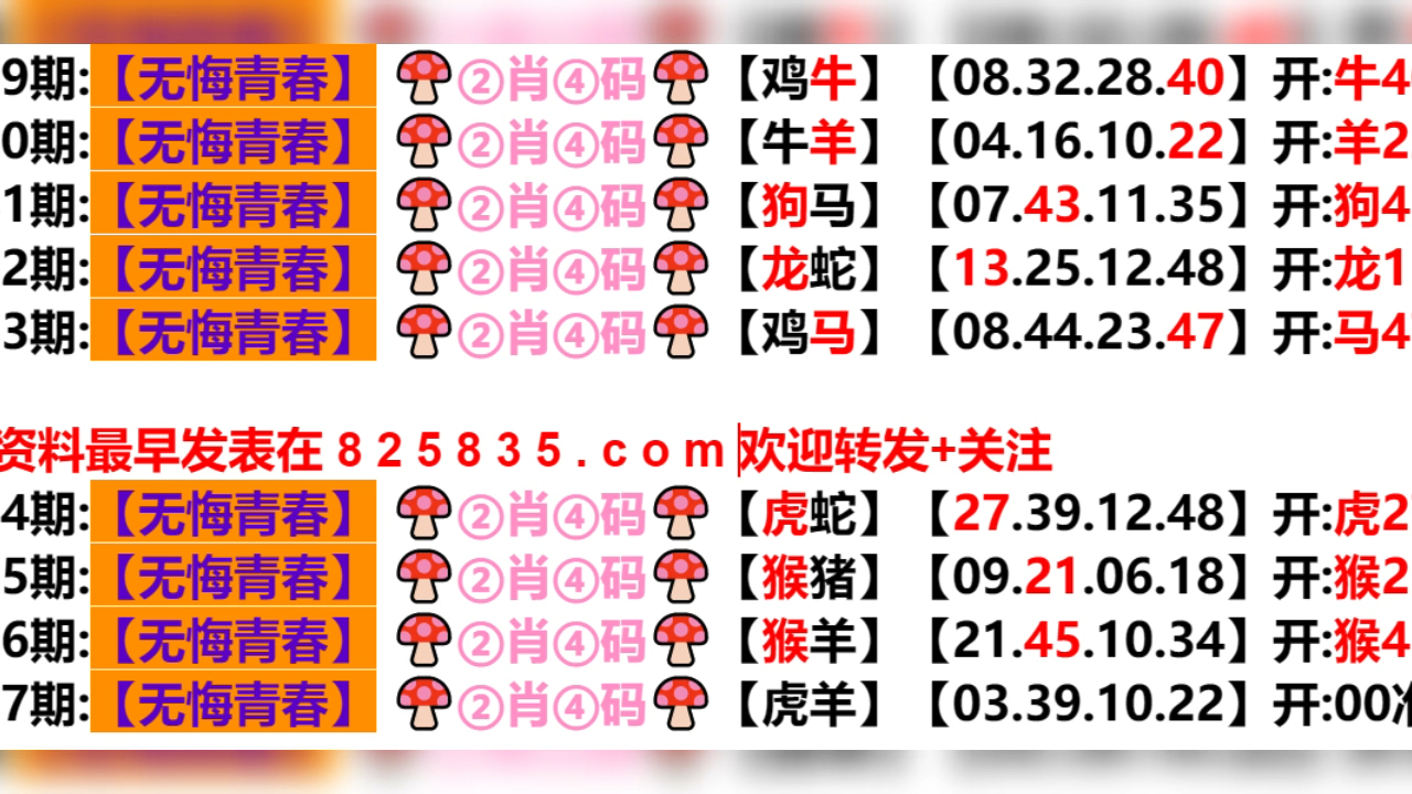 2024新澳门六开彩今晚资料|兢兢释义解释落实,揭秘新澳门六开彩，兢兢释义解释与落实策略