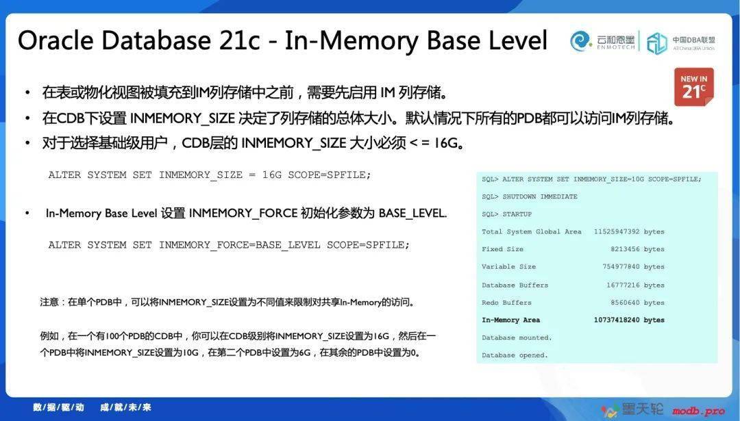 2024新澳门资料免费长期|特征释义解释落实,揭秘澳门新资料，长期免费获取与特征释义的落实策略