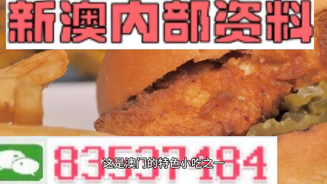 新澳2024年精准资料220期|工具释义解释落实,新澳2024年精准资料220期，工具释义解释落实的全面解读