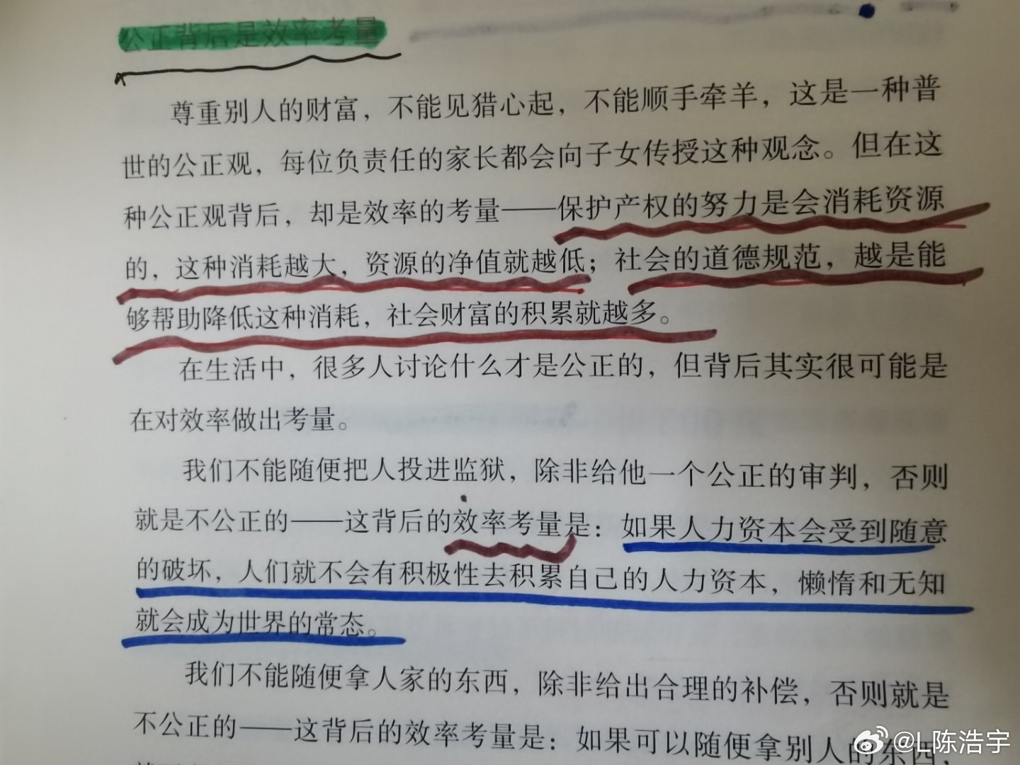 一肖一码一一肖一子|理性释义解释落实,一肖一码一一肖一子，理性释义、解释与落实