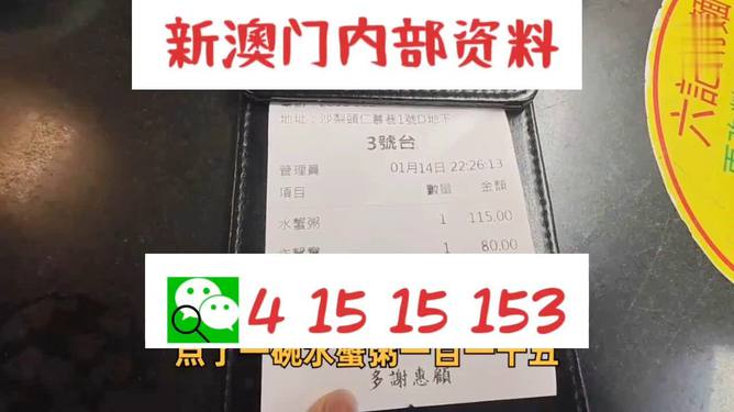 澳门内部正版资料大全|灵动释义解释落实,澳门内部正版资料大全与灵动释义，深度解析与落实实践