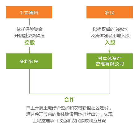 一码一肖一特马报|案例释义解释落实,一码一肖一特马报，案例释义、解释与落实的重要性