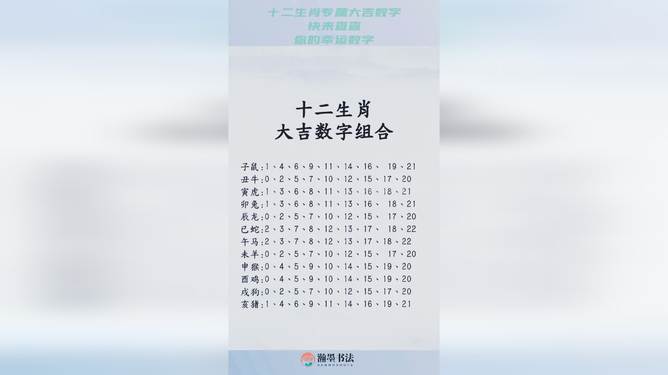 2024十二生肖49个码|损益释义解释落实,揭秘十二生肖与数字码，2024年的损益释义及实践解读