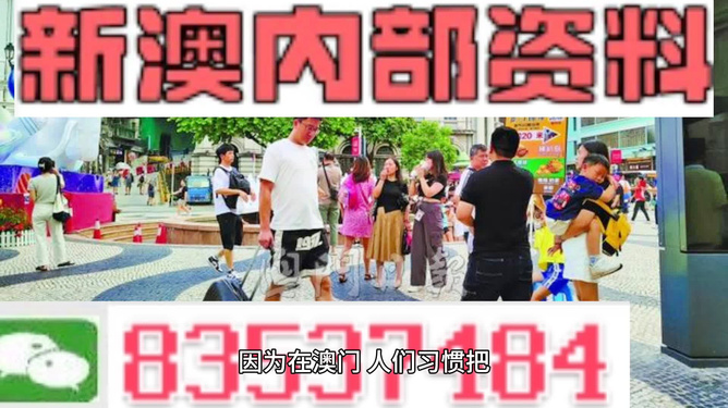 2024新澳精准资料大全|责任释义解释落实,新澳精准资料大全与责任释义，落实行动的关键要素