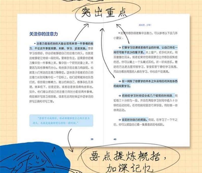 管家婆一肖-一码-一中|性执释义解释落实,管家婆一肖一码一中与性执释义，深度解析与实际应用