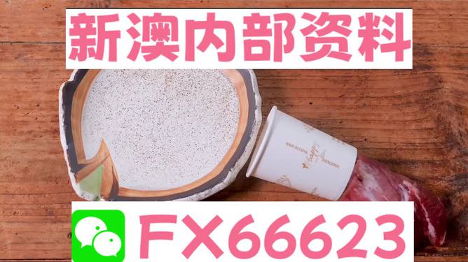 新澳精准资料免费提供网|不仅释义解释落实,新澳精准资料免费提供网，释义解释与深入落实的探讨