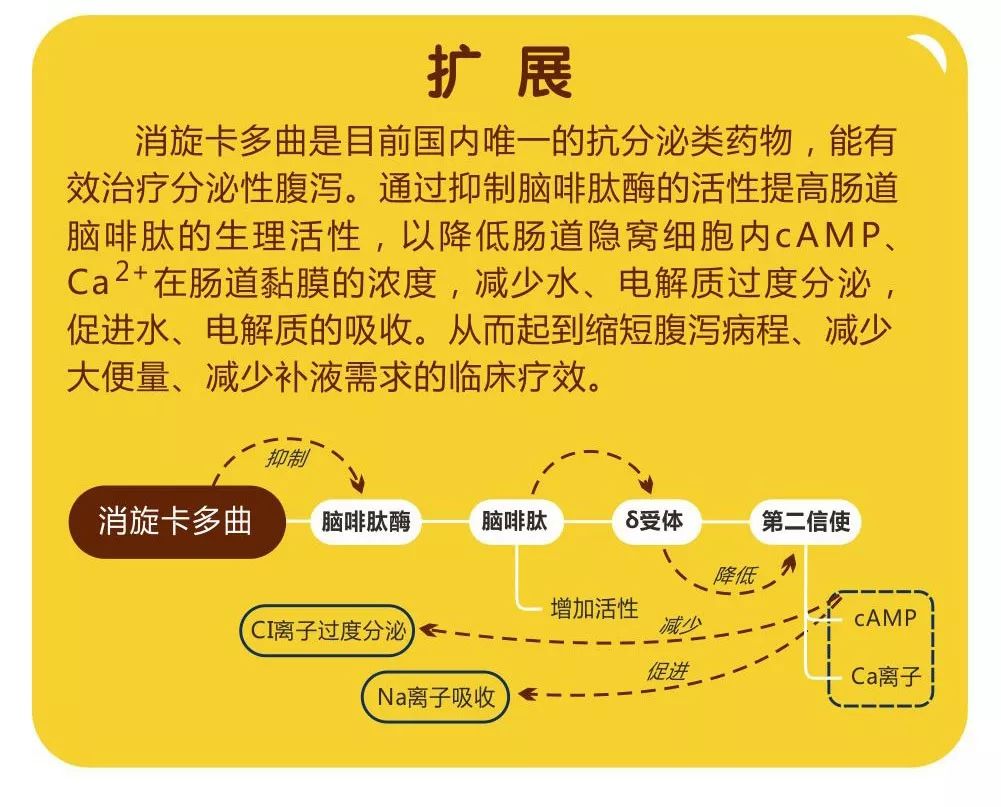 澳门免费资料 内部资料|速效释义解释落实,澳门免费资料内部资料与速效释义解释落实研究