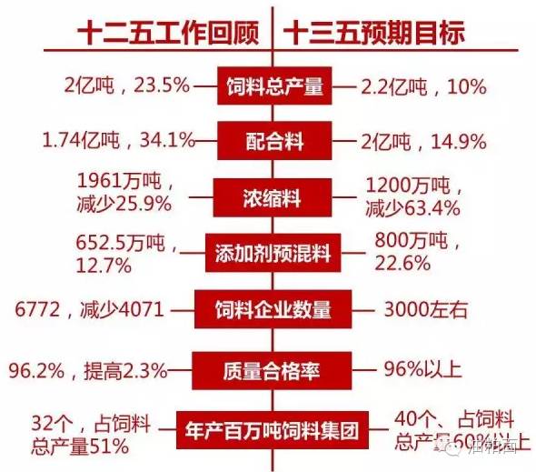 2025年天天彩精准资料|量入释义解释落实,探究未来，2025年天天彩精准资料的深度解读与应用落实