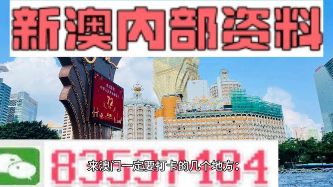 2025新澳门王中王正版|杯盘释义解释落实,探索澳门新纪元——王中王正版杯盘释义与落实策略