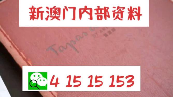 新澳门最准资料免费网站|先驱释义解释落实,新澳门最准资料免费网站，先驱释义、解释与落实的重要性