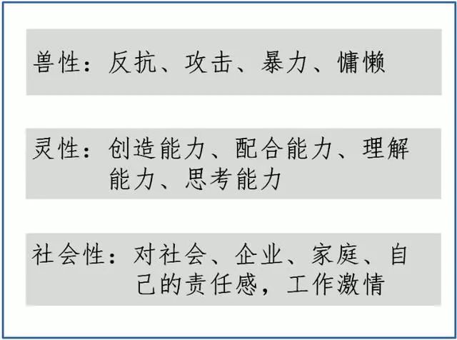 2025今晚澳门特马开什么码|习性释义解释落实,探索澳门特马的世界，习性释义、预测与落实的重要性