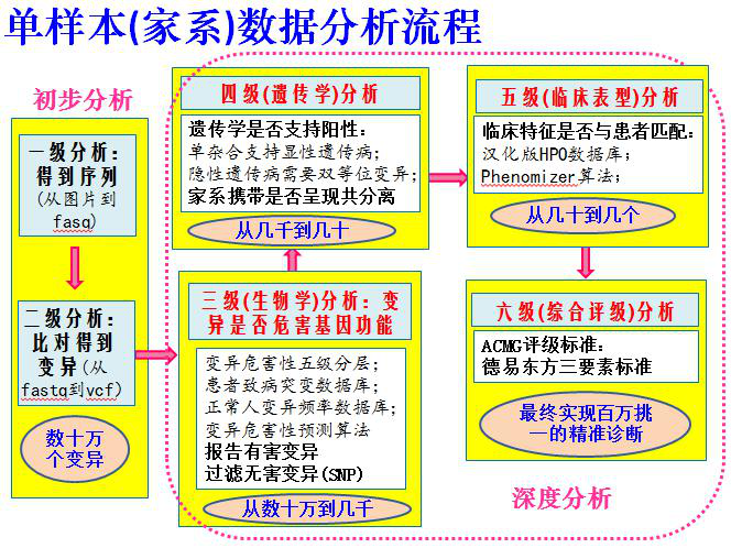 管家婆资料精准一句真言|性方释义解释落实,管家婆资料精准一句真言，性方释义解释落实