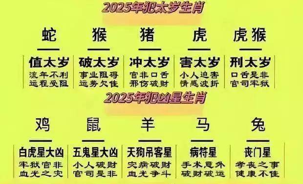 2025澳门免费精准6肖|绝艺释义解释落实,揭秘澳门精准预测生肖技艺——绝艺释义解释落实之道