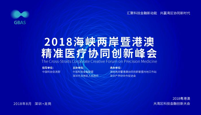 2025新澳精准正版资料|智能释义解释落实,迈向精准未来，智能释义解释落实与2025新澳正版资料的探索