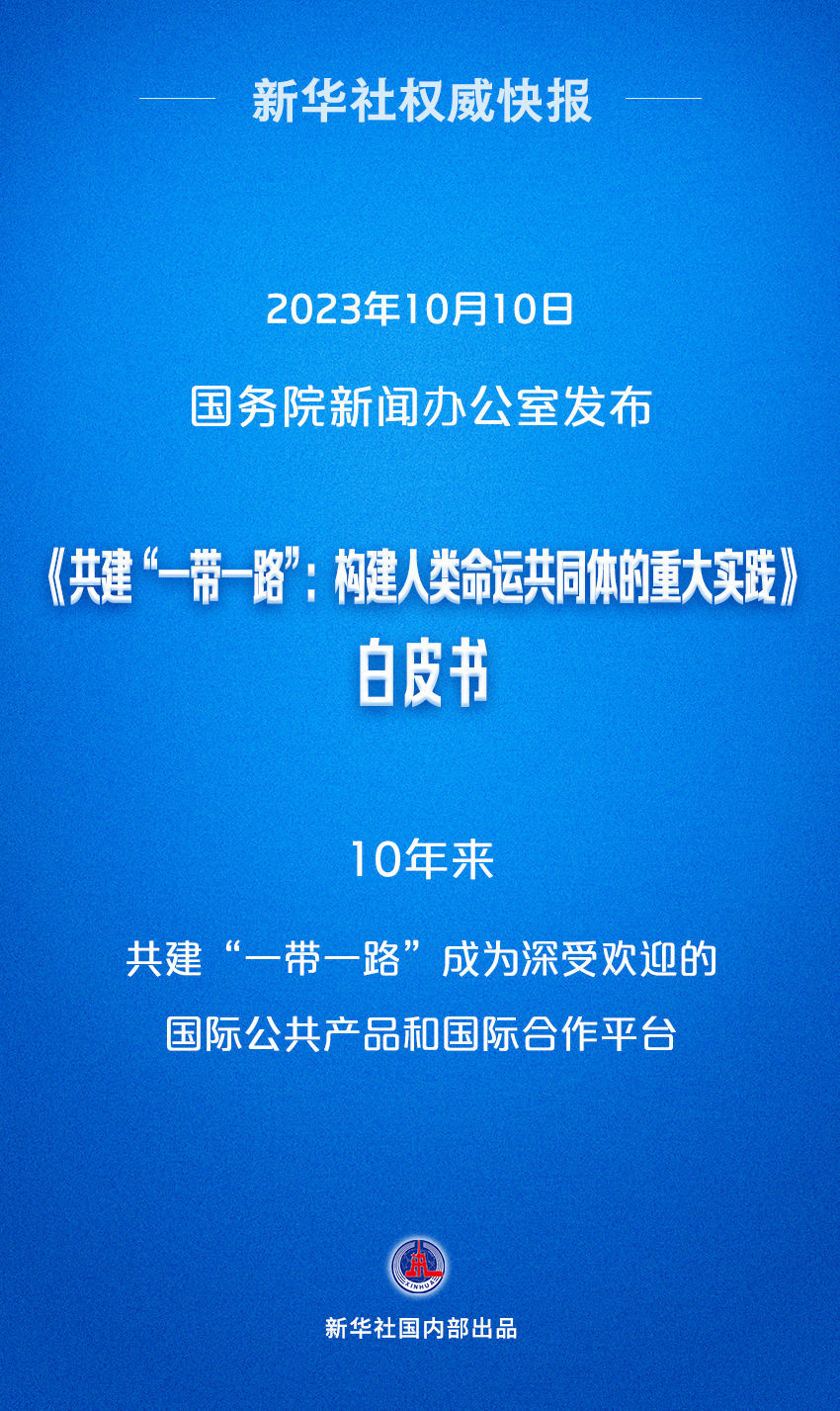 新澳门精准资料大全管家资料|谋略释义解释落实,新澳门精准资料大全与谋略释义，落实的重要性