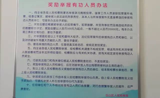 一码一肖一特马报|案例释义解释落实,一码一肖一特马报，案例释义、解释与落实的重要性