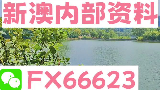 新澳精准资料免费大全|前沿释义解释落实,新澳精准资料免费大全与前沿释义的落实