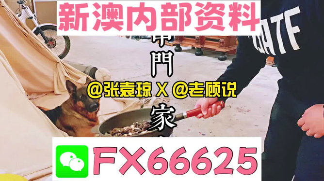 新澳门精准资料大全管家婆料|效益释义解释落实,新澳门精准资料大全与管家婆料，效益释义解释及其实践落实