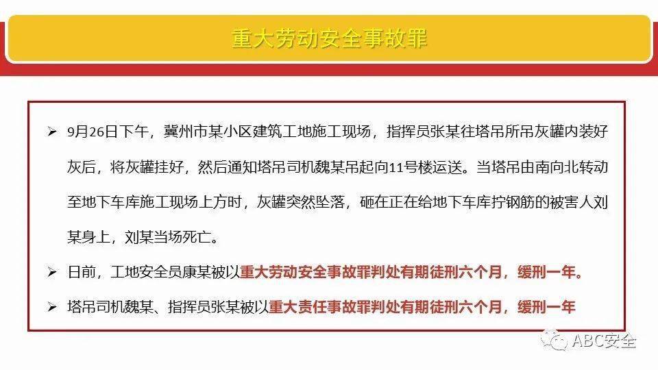 新澳资料大全2025年|资格释义解释落实,新澳资料大全2025年，资格释义解释落实