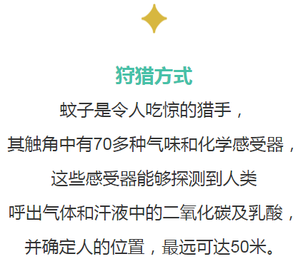 62449免费资料中特|链实释义解释落实,深入理解62449免费资料中的特殊链条，实施释义与落实策略