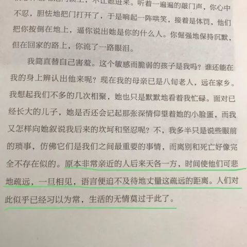 600图库大全免费资料图|生命释义解释落实,探索生命释义与落实，从600图库大全免费资料图中汲取灵感