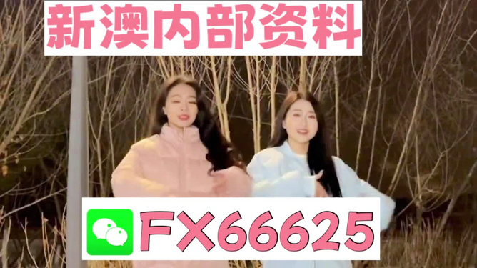 管家婆一码一肖100准|简单释义解释落实,解读管家婆一码一肖100%准确，释义与实际应用