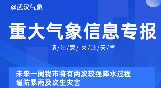 2025新奥正版资料最精准免费大全|以点释义解释落实,探索未来，2025新奥正版资料最精准免费大全的全方位解读与落实策略