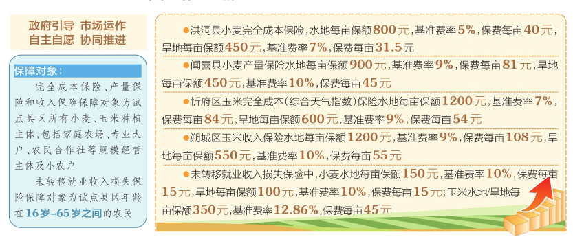 2025年正版资料免费大全一肖|人生释义解释落实, 2025年正版资料免费大全一肖，人生的释义、解释与落实