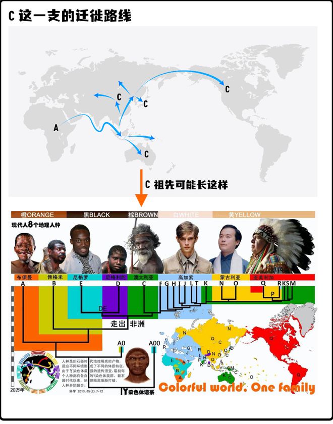 4949澳门开奖现场 开奖直播|流失释义解释落实,澳门开奖现场直播，流失、释义与落实的深度解读