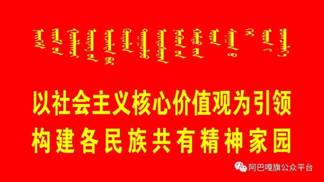 2025新奥门管家婆资料查询|论述释义解释落实,新澳门管家婆资料查询在2025年的释义、解释与落实策略